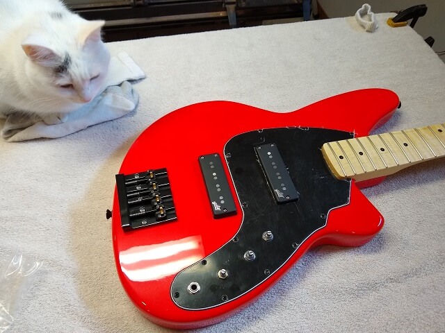The pickguard installed.
