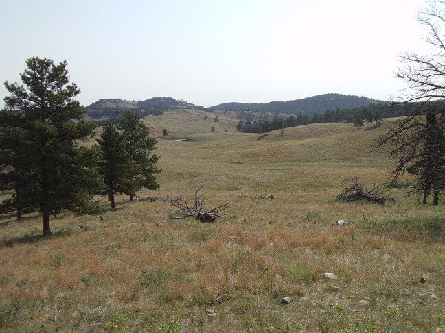 The sights of Custer State Park.