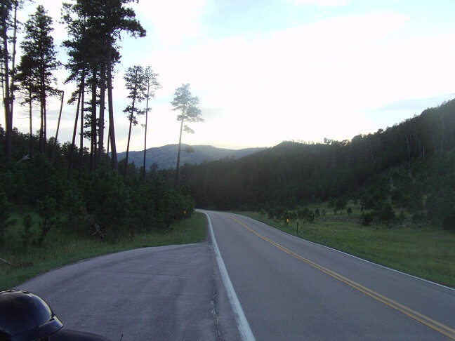 Highway 87 in Custer State Park