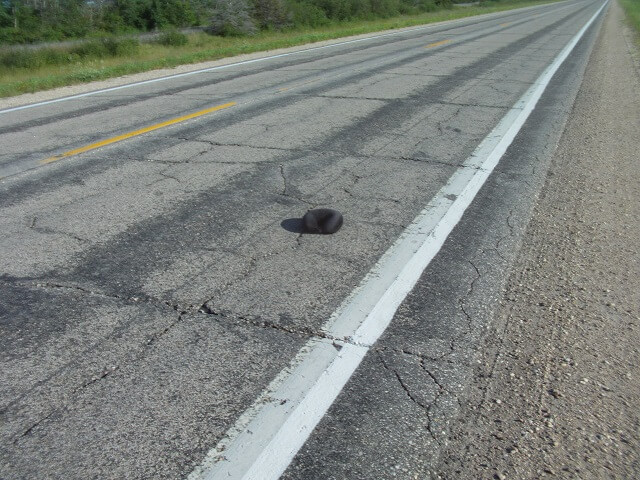 Lost my neck pillow on higway 32.