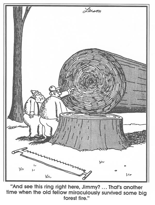 The Far Side