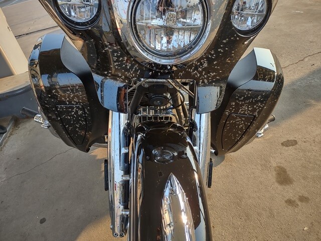 Thousands of dead bugs on my motorcycle already.