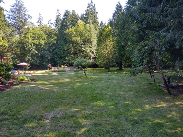 The yard of my AirBnb on Whidbey Island, WA.