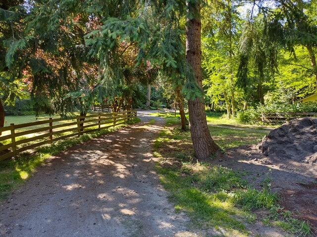 The driveway into my AirBnb on Whidbey Island, WA.