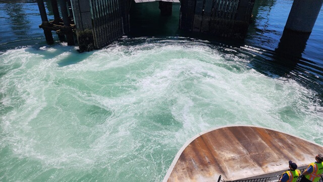 The wake of the ferry as we're heading back to Whidbey Island.