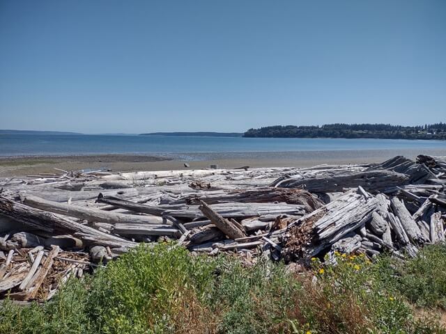 Logs on the beach at Oak Harbor.