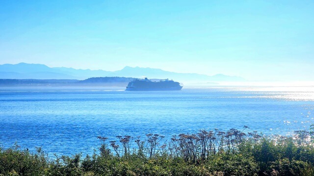 A cruise ship with the mountains in the background.