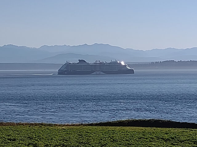 Another cruise ship that went by Fort Casey state park.