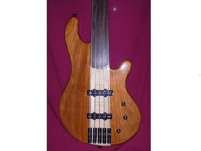 Fretless Five String Bass