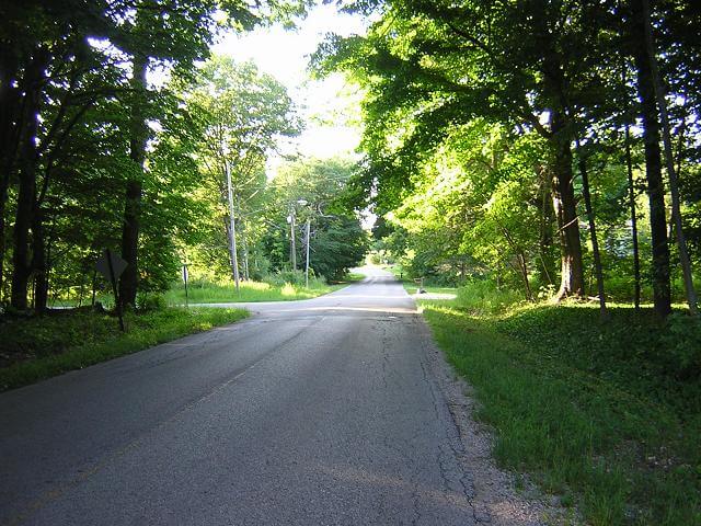 The road to the campground in Ludington.