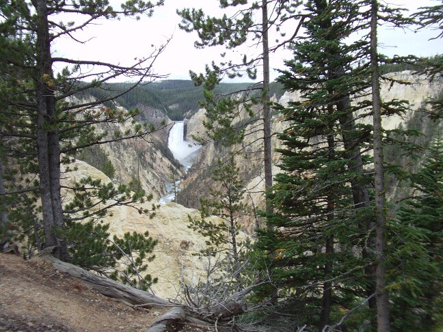 The lower falls of Yellowstone canyon.