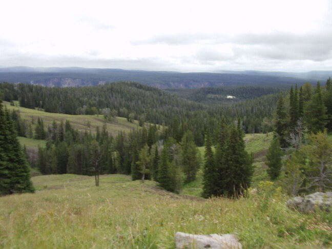 The Yellowstone area up by Tower Junction.